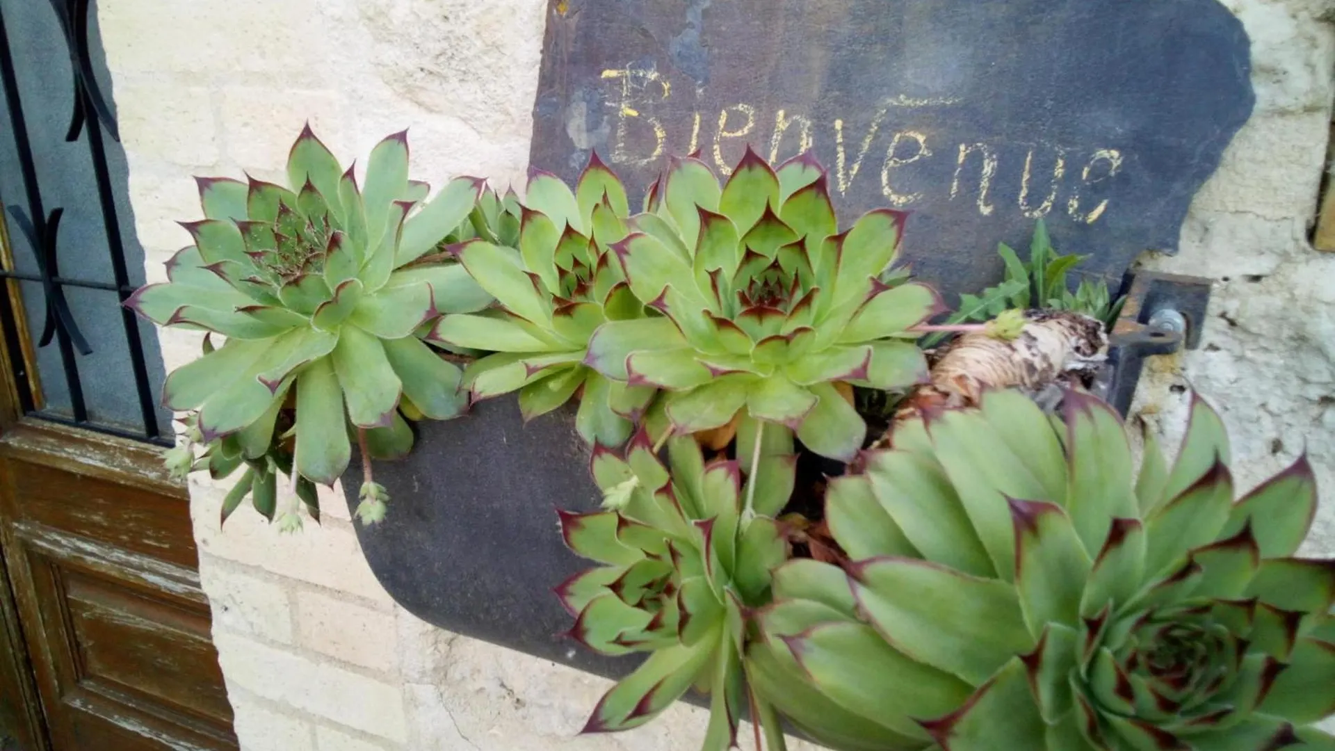 Chambre D'Hotes L'Hermione Bed & Breakfast Villeneuve-sur-Vere